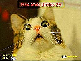 diaporama pps Nos amis drôles 29