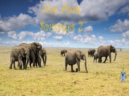 diaporama pps Nos amis sauvages 2