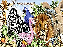 diaporama pps Nos amis sauvages