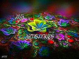 diaporama pps Nus artistiques