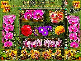 diaporama pps Orchidées