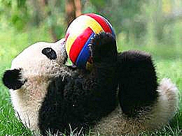 diaporama pps Pandas