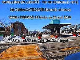 diaporama pps Papillons en liberté 2016