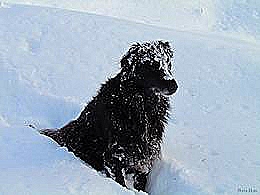 diaporama pps Pensées sur photos