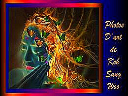 diaporama pps Photos d’art de Koh Sang Woo