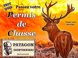 diaporama pps Quiz permis de chasse