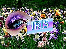 diaporama pps Regard sur les iris