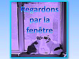 diaporama pps Regardons par la fenêtre