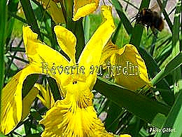 diaporama pps Rêverie au jardin