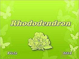 diaporama pps Rhododendron