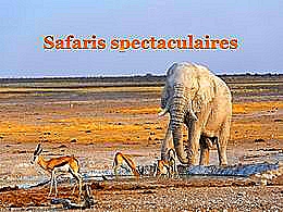 diaporama pps Safaris spectaculaires