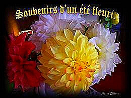 diaporama pps Souvenir d’un été fleuri