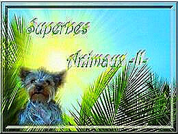 diaporama pps Superbes animaux II