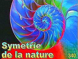 diaporama pps Symétrie de la nature