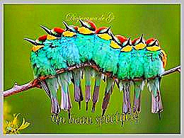 diaporama pps Un beau spectacle