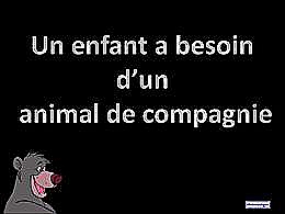 diaporama pps Un enfant un compagnon