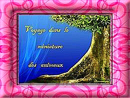 diaporama pps Voyage dans le miniature des animaux