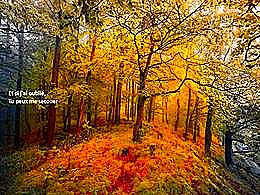 diaporama pps Zaz si jamais j’oublie