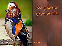 diaporama pps Best of national geographic 2013
