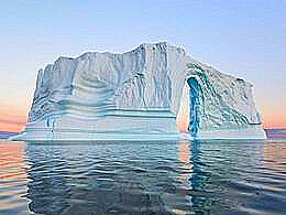 diaporama pps 2017 national geographic nature photographer of the year