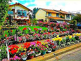 diaporama pps A vos arrosoirs