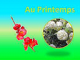 diaporama pps Au printemps