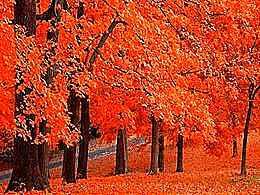 diaporama pps Automne I