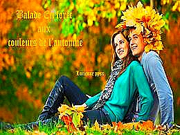 diaporama pps Balade en forêt aux couleurs de l’automne