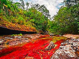 diaporama pps Caño Cristales – Colombie
