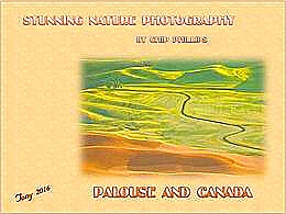 diaporama pps Photos de Chip Phillips