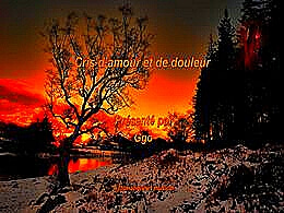 diaporama pps Cris d’amour et de douleur