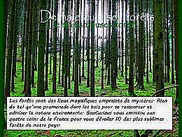 diaporama pps De majestueuses forêts