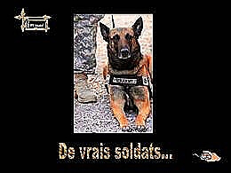 diaporama pps De vrais soldats