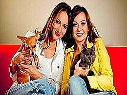 diaporama pps Des animaux et des hommes