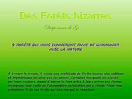 diaporama pps Des forêts bizarres