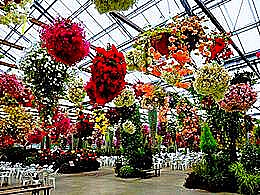 diaporama pps Fuji Kachoen – Japan