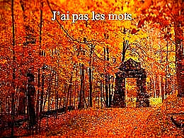 diaporama pps J’ai pas les mots