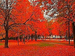 diaporama pps L’été indien