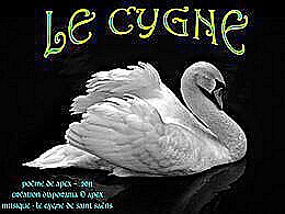 diaporama pps Le cygne
