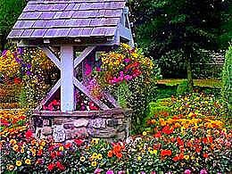 diaporama pps Le puits et les fleurs