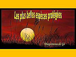 diaporama pps Les plus belles espèces protégées