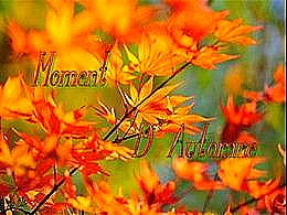 diaporama pps Moment d’automne