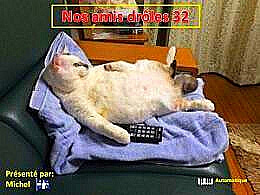 diaporama pps Nos amis drôles 32