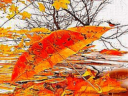 diaporama pps Pluie d’automne