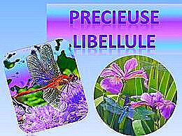 diaporama pps Précieuse libellule