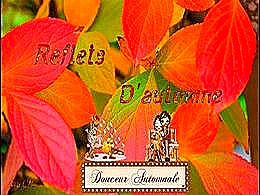 diaporama pps Reflets d’automne
