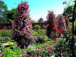 diaporama pps Roseraie du Val de Marne France