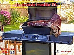 diaporama pps Un monde insolite 33