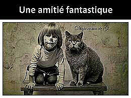 diaporama pps Une amitié fantastique