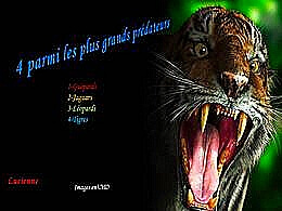 diaporama pps 4 parmi les plus grands prédateurs